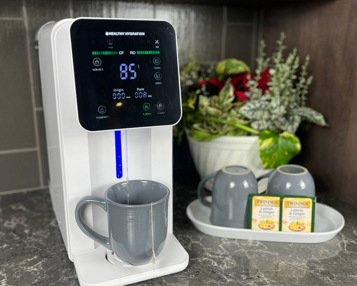 Hydra Luxe on a kitchen counter with mugs