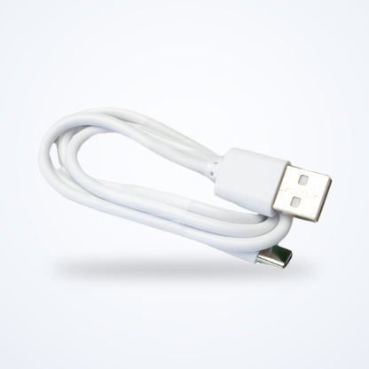 Replacement charger