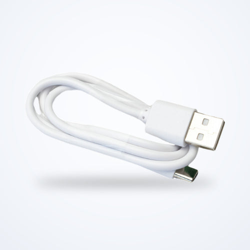Replacement charger