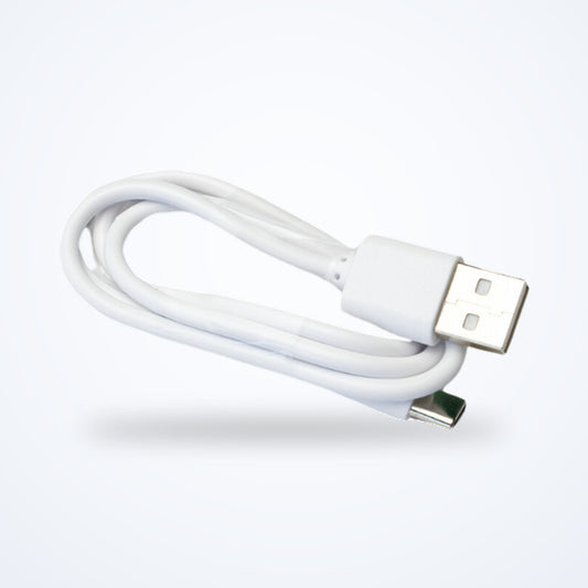 Replacement charger